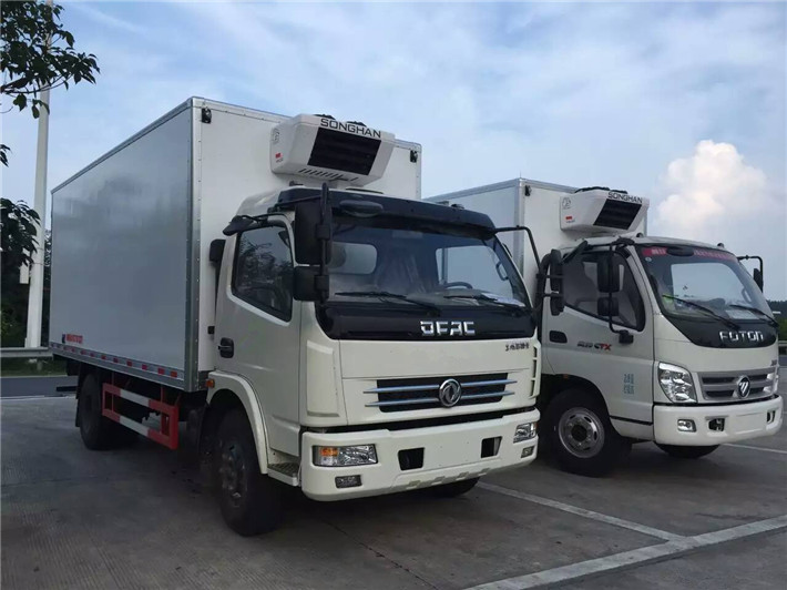 國五東風(fēng)多利卡冷藏車5米1 國五東風(fēng)多利卡冷藏車5米1